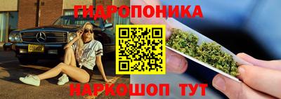 тгк Волжск