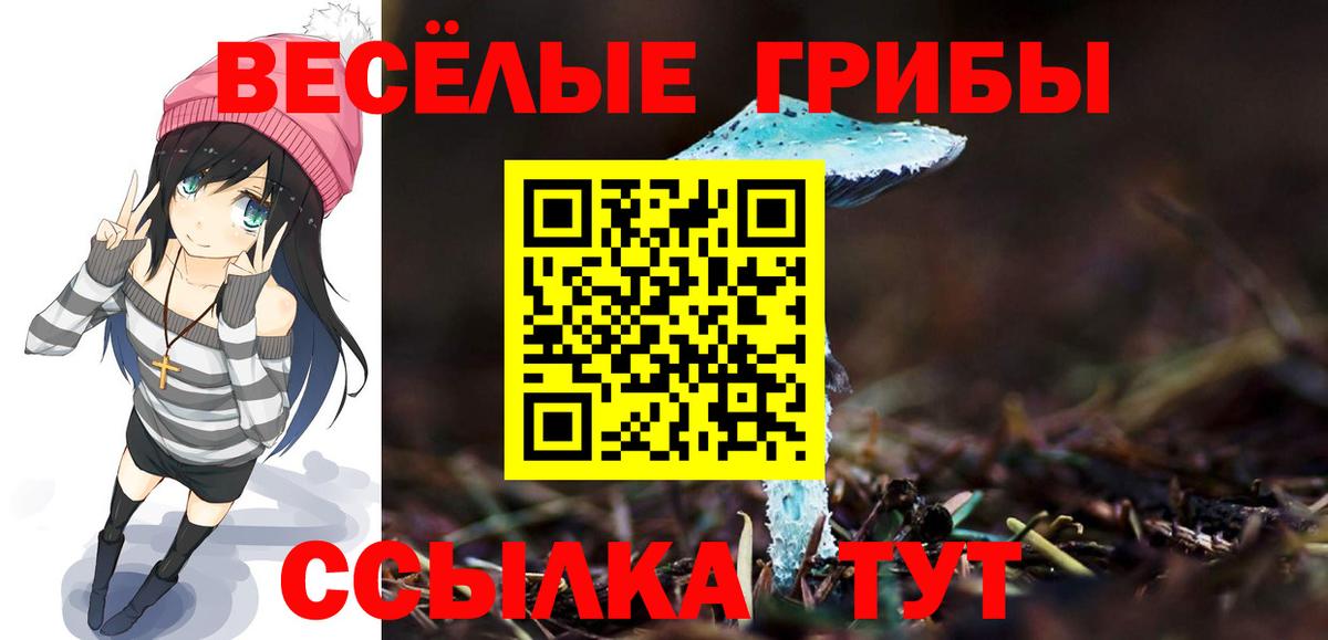 Галлюциногенные грибы Psilocybine cubensis  Вход с VPN  Ржев 